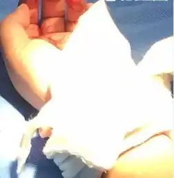 南京摔狗者之妻割腕为狗偿命被建议看心理医生