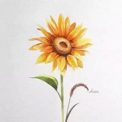 微信最吉利的好看头像2019女人吉利走运的微信头像