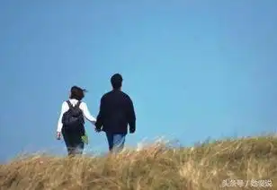 程序员租个女友回家过年被顺走了钱和首饰她的真实身份令人吃惊