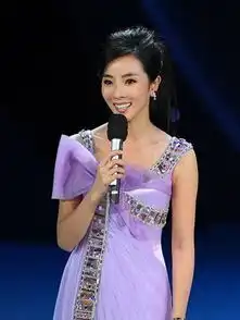 柳岩李思思李湘当红女主持人生存现状调查柳岩