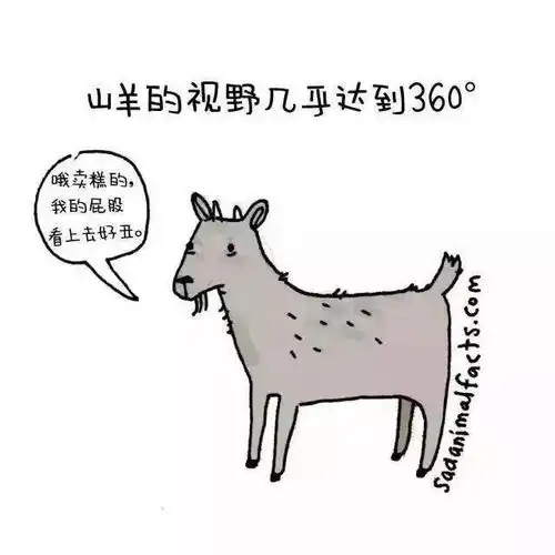动物界你不知道的那些冷知识,知道5个以上算你厉害