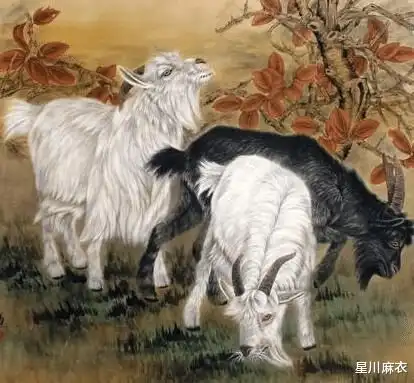 年纪越大越有魅力的生肖,如沐春风,男人疼爱,越老越有钱
