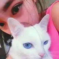抱着猫咪的头像男生女生都有,喜欢小猫的朋友下面这些头像是首选