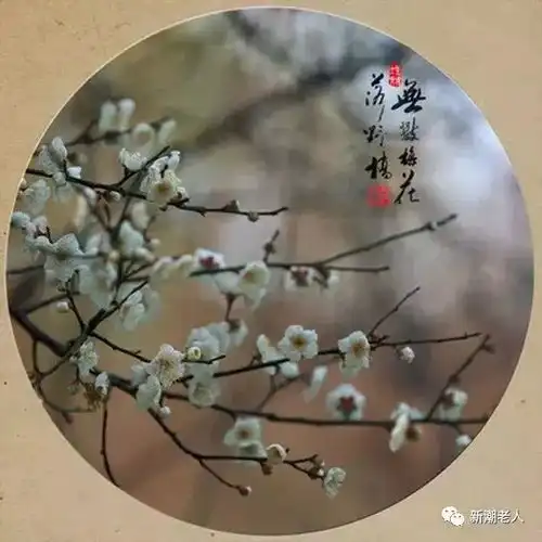 2018马上就要结束了,一切看淡,一切随缘吧