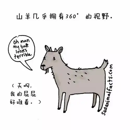 女生头像可爱呆萌动物冷