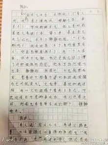 六年级女生作文高速变慢速堵车堵成羊肉串