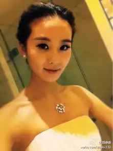 刘诗诗angelababy郑爽赵丽颖女明星私照大点评