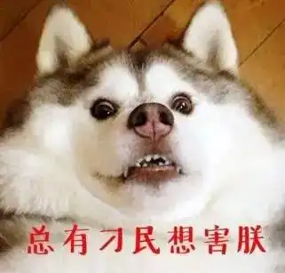 大连2岁女童嘴唇被哈士奇咬穿眼睛险些被挠瞎