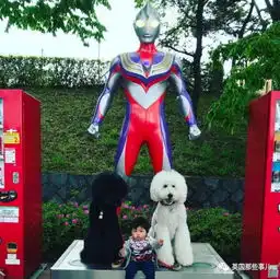 巨型汪星人人类小幼崽的暖心日常这卖萌组合简直无敌了
