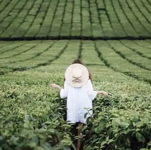 少女唯美头像小清新背影