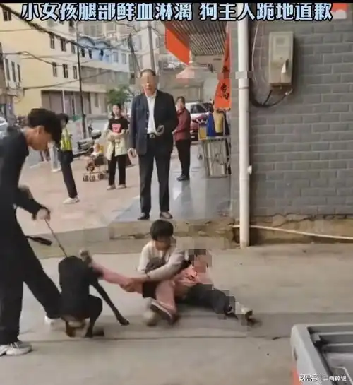 湖南常宁,黑犬当街撕咬小女孩,狗主人下跪道歉,打狗小哥发声