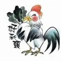 2023年属鸡幸运头像