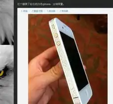 超跑游艇嫩模夜场深圳顶级富二代张家乐生活