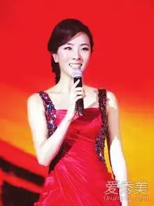 央视女主持李思思产子老公成谜有望主持春晚