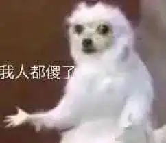 21岁女孩全职当狗,月入近百万我喜欢到处打滚爬行