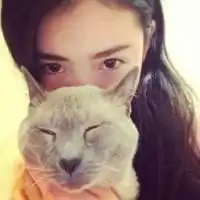 少女与猫头像猫将