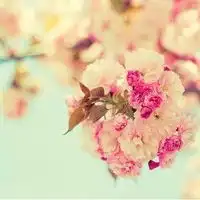 如人饮水,冷暖自知