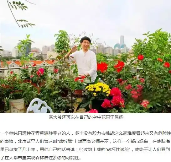 65岁的大叔拥有一座最牛空中花园微信配图