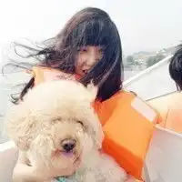 女生和狗狗的头像女生