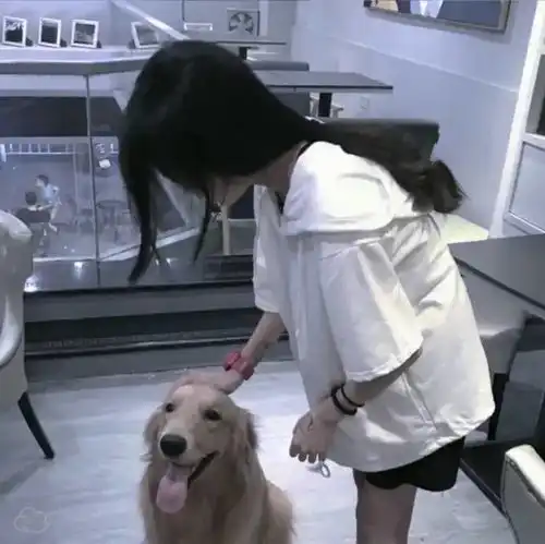 女生头像ins质感不露脸