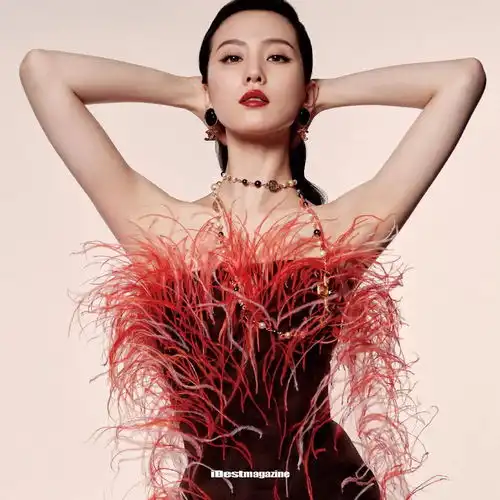 刘诗诗idestmagazine封面
