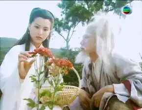 李若彤小龙女少女心又呆萌,她看杨过的眼神难道不是真的相爱的吗