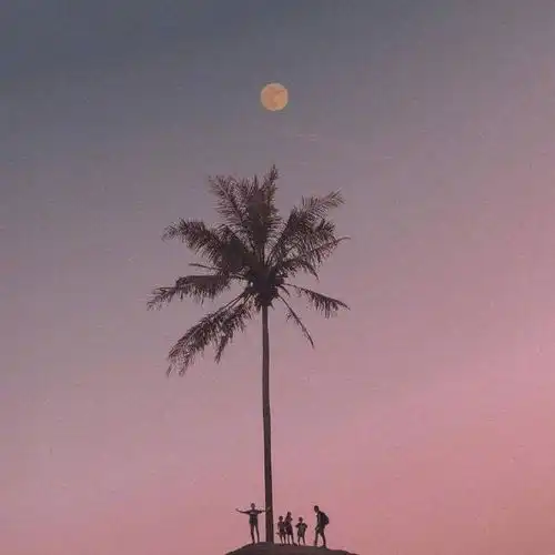 32个正能量爆棚的句子,句句坚定自我,要做更好的自己