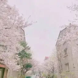 粉红少女系微信风景头像高清唯美你要陪我走到婚姻的殿堂