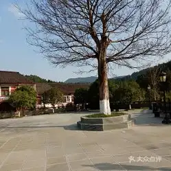 电话,地址,价格,营业时间阆中市周边游