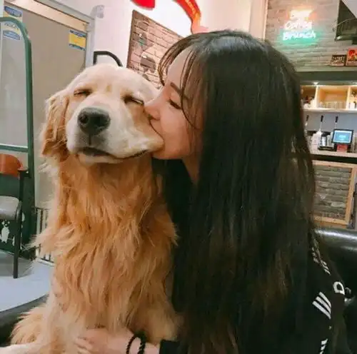 为什么狗狗更喜欢女主人这6点理由,男主人不得不服
