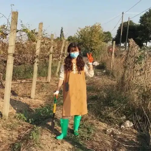 19岁小姑娘爆改仓库平房,一家人与一条狗,住在童话的果园里