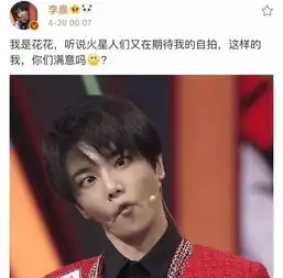 李晨独自换情侣头像暗示与范冰冰分手华晨宇为他们力破谣言