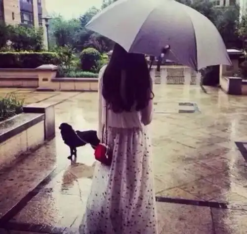 唯美图片高清女生头像背