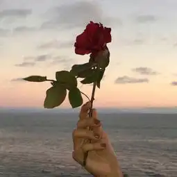 gfnotfoundexception的微博微博