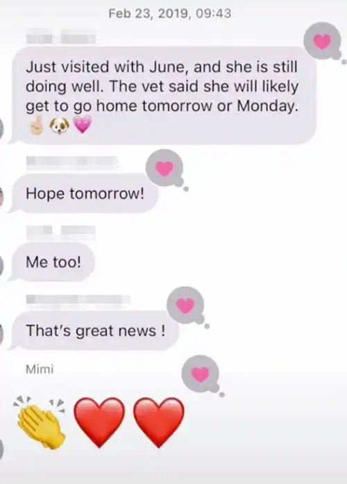 国外女子误把私照发入家庭群,简直大型社死现场,却把囧事分享到抖音