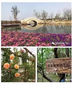 绿色软米免费送听说,大常州这里风景独有,还种出了全江苏最好吃大米