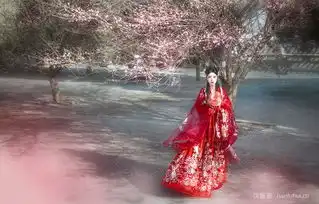 汉服绯红的脸,是不是女孩子看到男孩子都会害羞