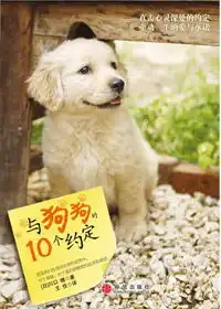 新年新的开始