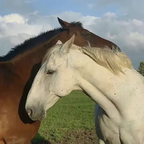 2023打包快乐风景头像