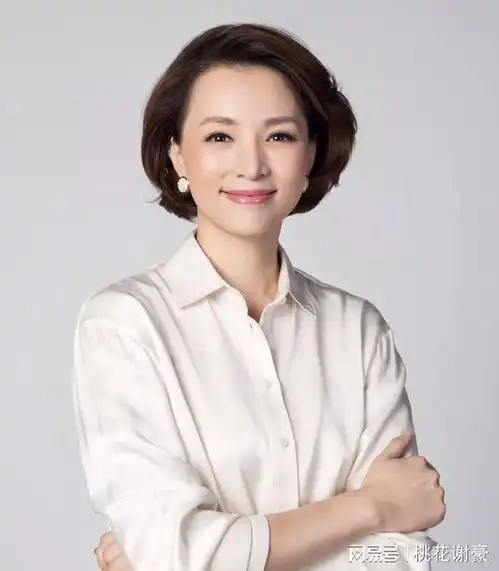 董卿受邀主持龙年春晚谣言与真实的交织