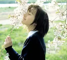 安卓手机壁纸14401280清纯美女崛北真希桌面高清壁纸