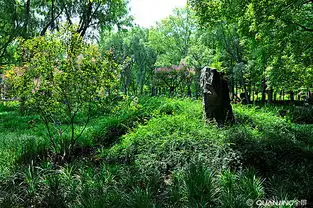 绿色风景图片图片大全