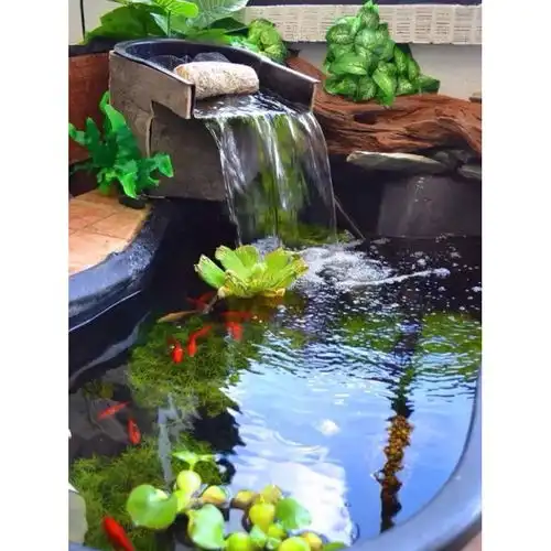 庭院设计一处小水景让你的院子充满生机与活力,美得很活泼