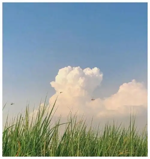 发朋友圈被秒赞的人生感悟,句句精辟有内涵深度好文