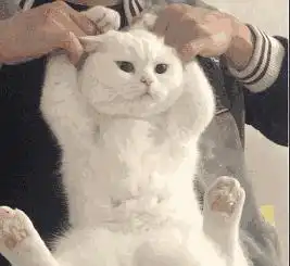 男生会给非暧昧对象送东西陪聊天吗