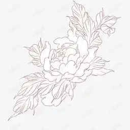 手绘植物花草手绘花线稿素材图片免费下载高清psd千库网图片编号11930720