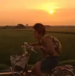 情头聊天突然不回复