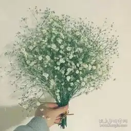 新闻出版新闻出版期刊