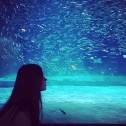 我把你当朋友,你只想要我的份子钱