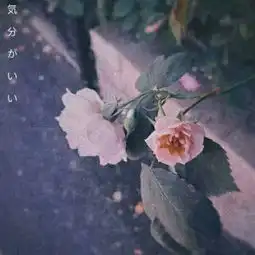 花草头像图片大全真实女人的花草招财头像